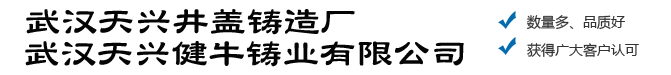 武汉天兴井盖铸造厂